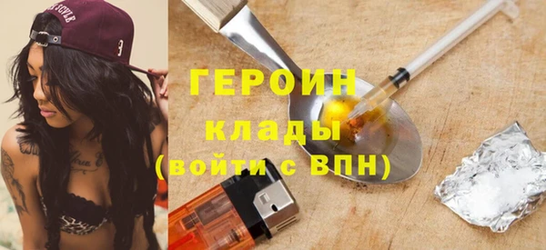 индика Богданович